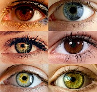 Eye Color Trivia