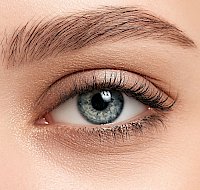 The Functional Role of Brows and Lashes